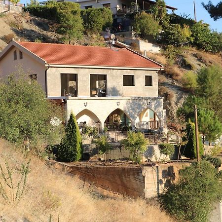 Georgiou Villa In Action Pelendri Exterior photo