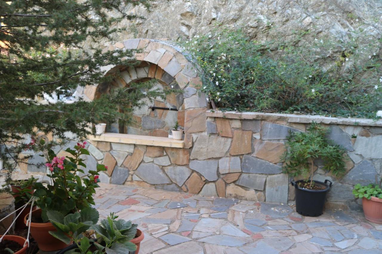 Georgiou Villa In Action Pelendri Exterior photo