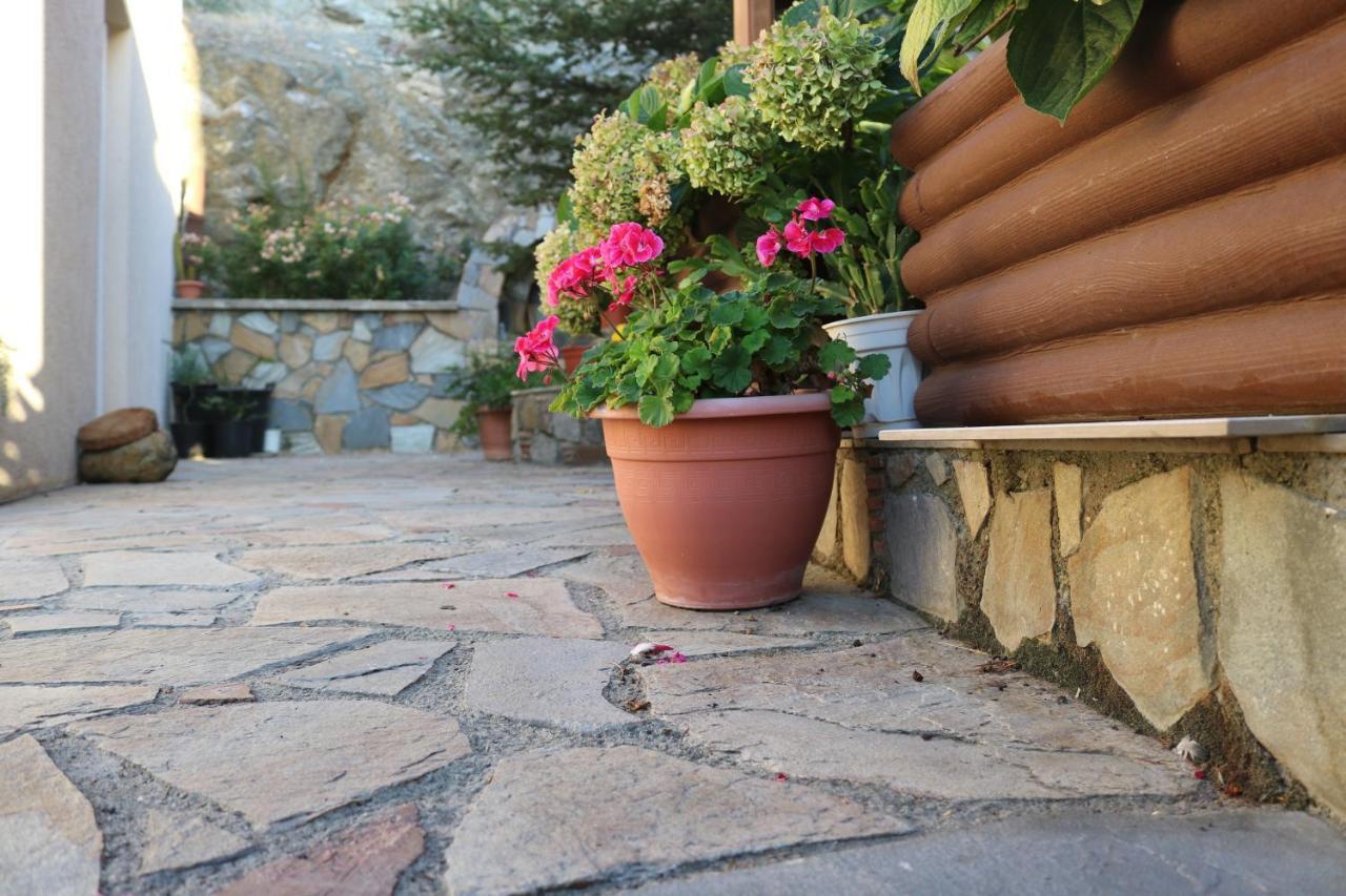 Georgiou Villa In Action Pelendri Exterior photo