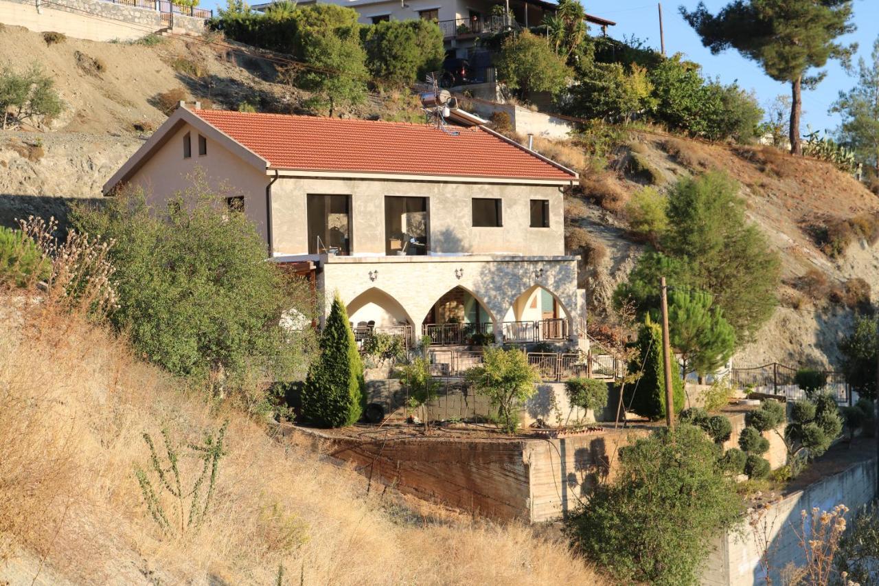 Georgiou Villa In Action Pelendri Exterior photo