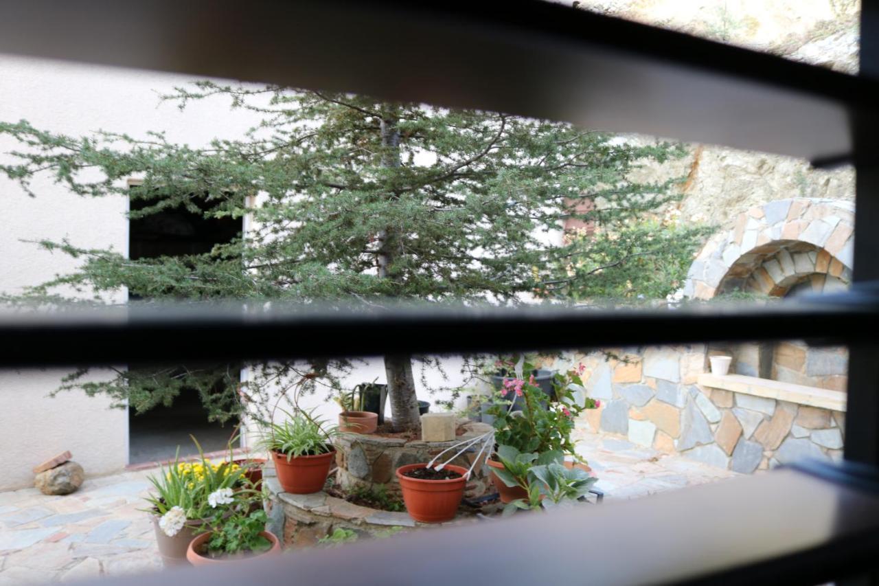 Georgiou Villa In Action Pelendri Exterior photo