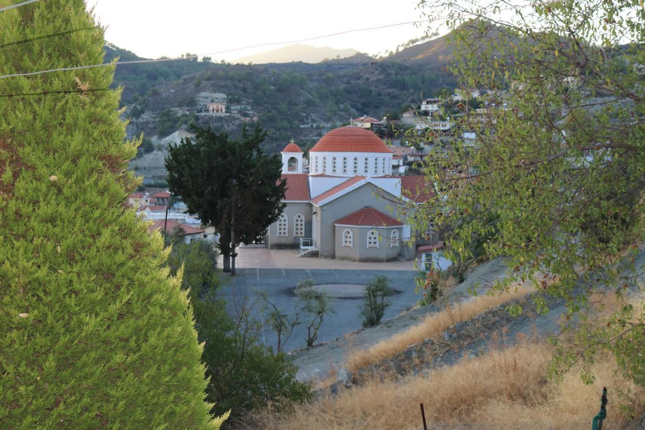 Georgiou Villa In Action Pelendri Exterior photo