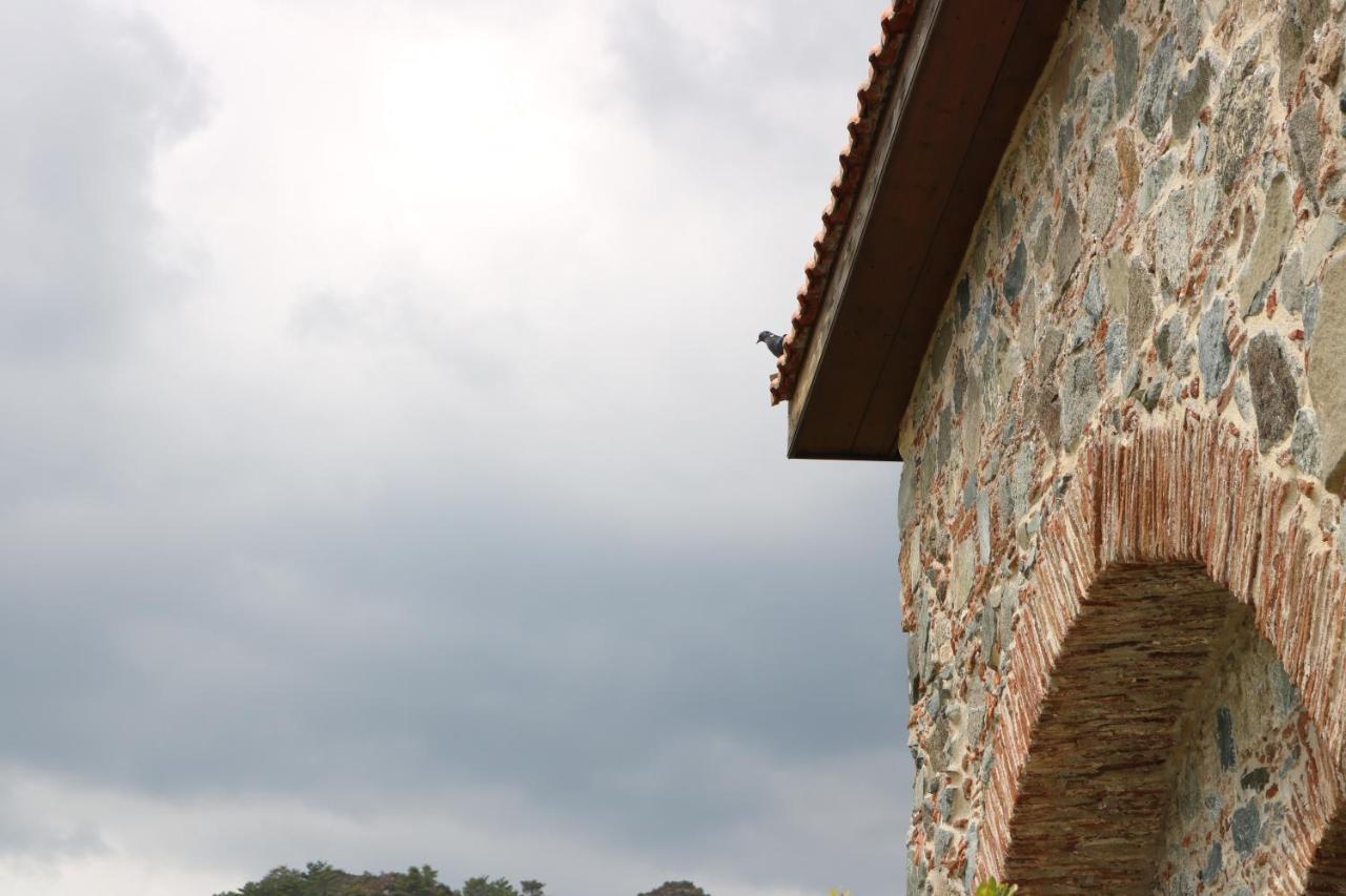 Georgiou Villa In Action Pelendri Exterior photo