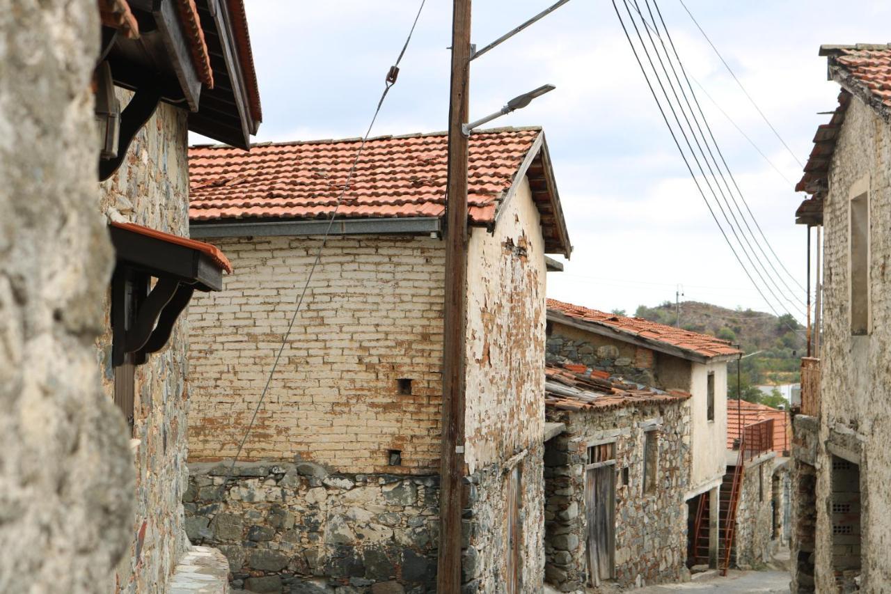 Georgiou Villa In Action Pelendri Exterior photo